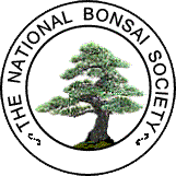 The National Bonsai Society Logo